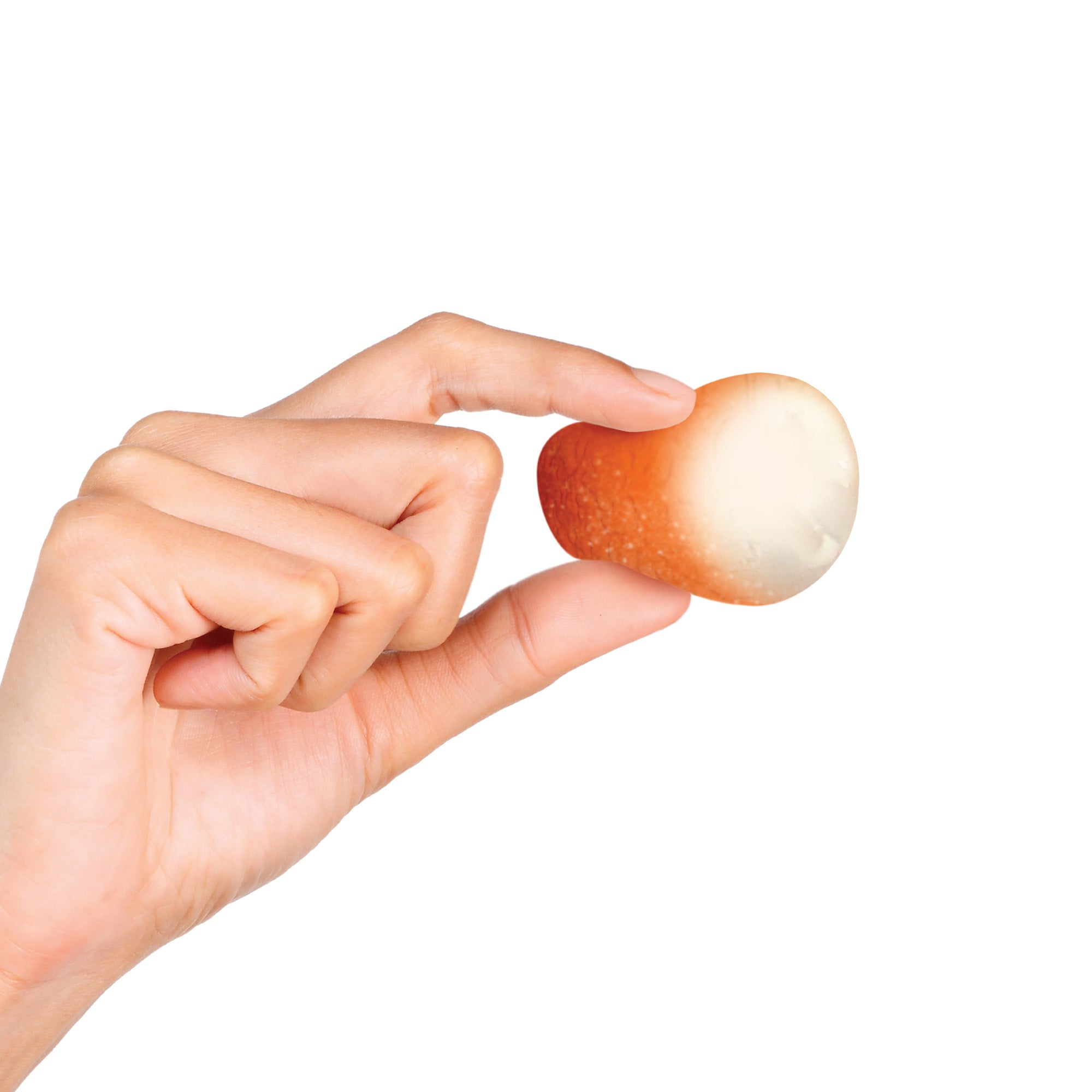 Multi-Pack Value NeeDoh Dohnut Holes | Select Prairie Summit - Micro Squishy Sensory Balls Multi-Pack Value Detail