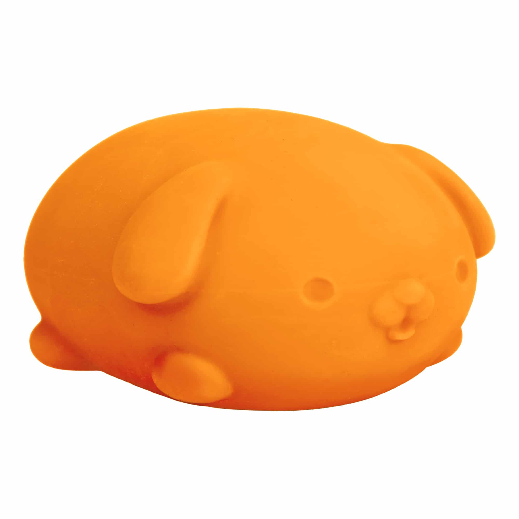 Purrfectly Squishy NeeDoh Funky Pup | Collection Canyon Shore - Collectible Shaggy Monster Squishable Toy Detail