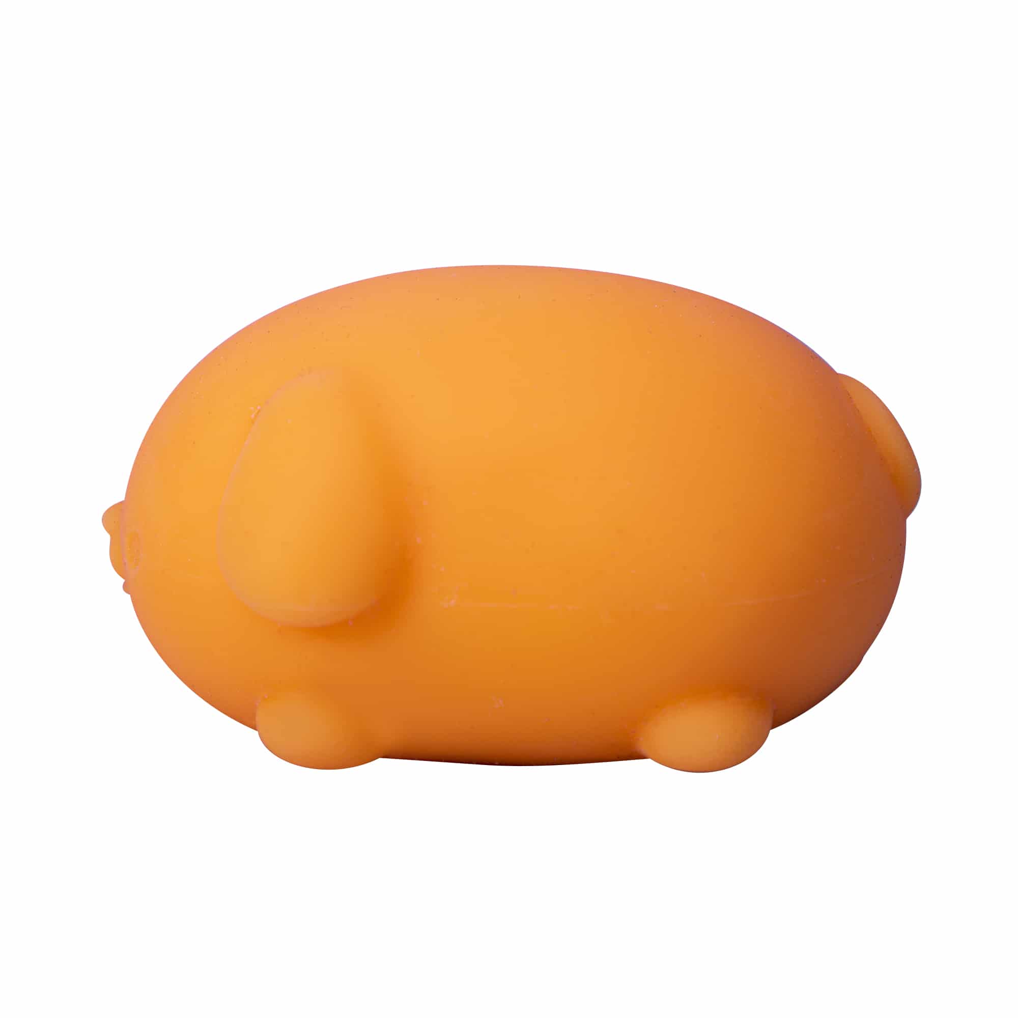Purrfectly Squishy NeeDoh Funky Pup | Collection Canyon Shore - Collectible Shaggy Monster Squishable Toy Detail