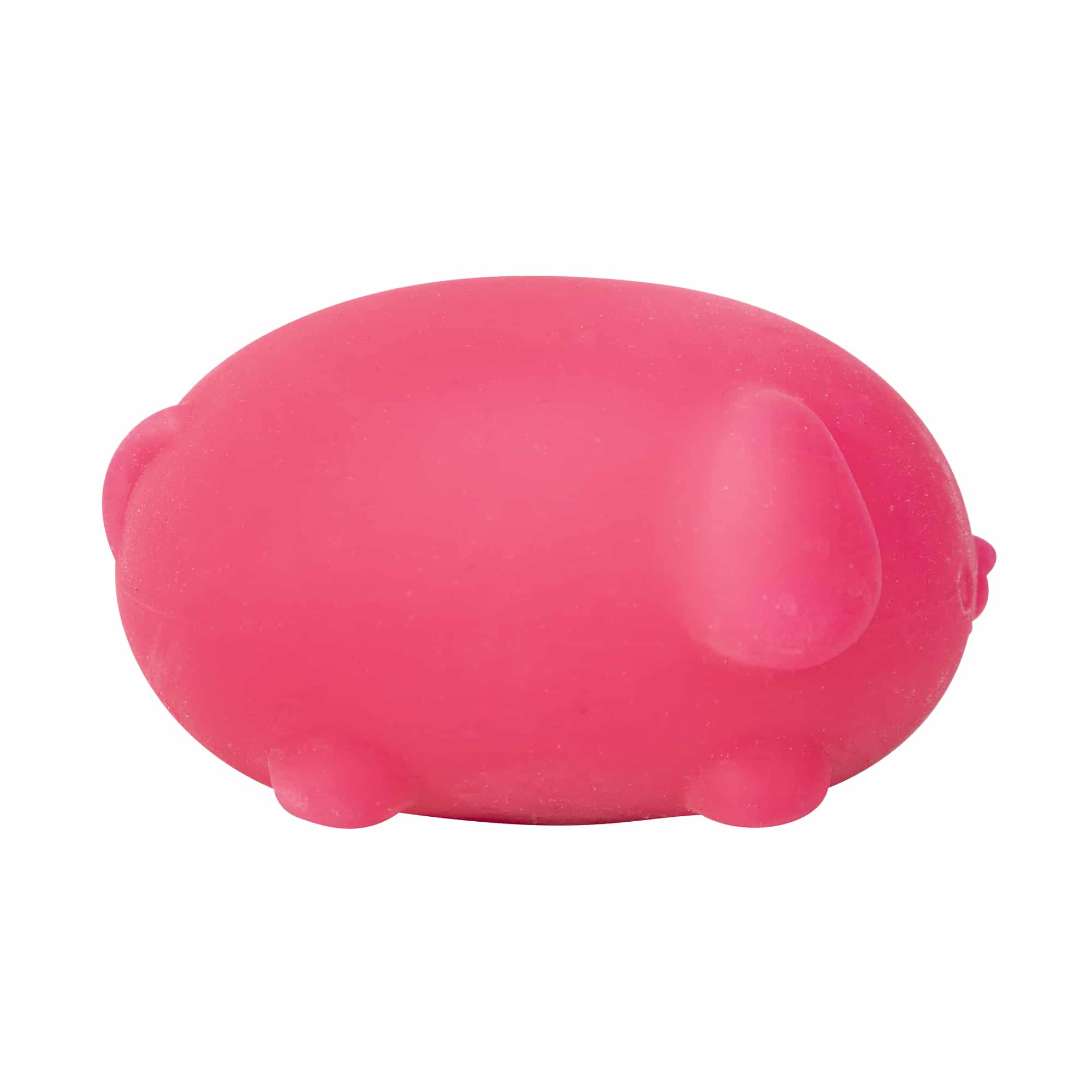 Purrfectly Squishy NeeDoh Funky Pup | Collection Canyon Shore - Collectible Shaggy Monster Squishable Toy Detail