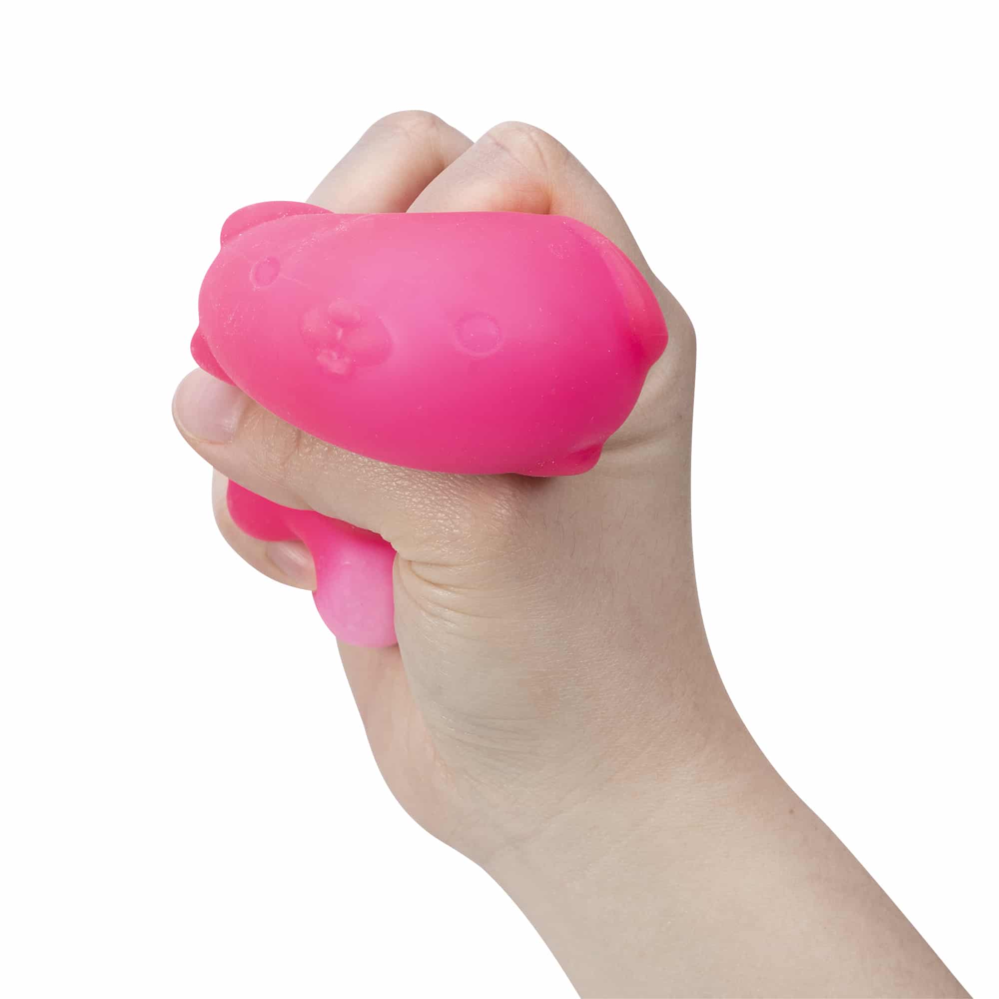 Purrfectly Squishy NeeDoh Funky Pup | Collection Canyon Shore - Collectible Shaggy Monster Squishable Toy Detail