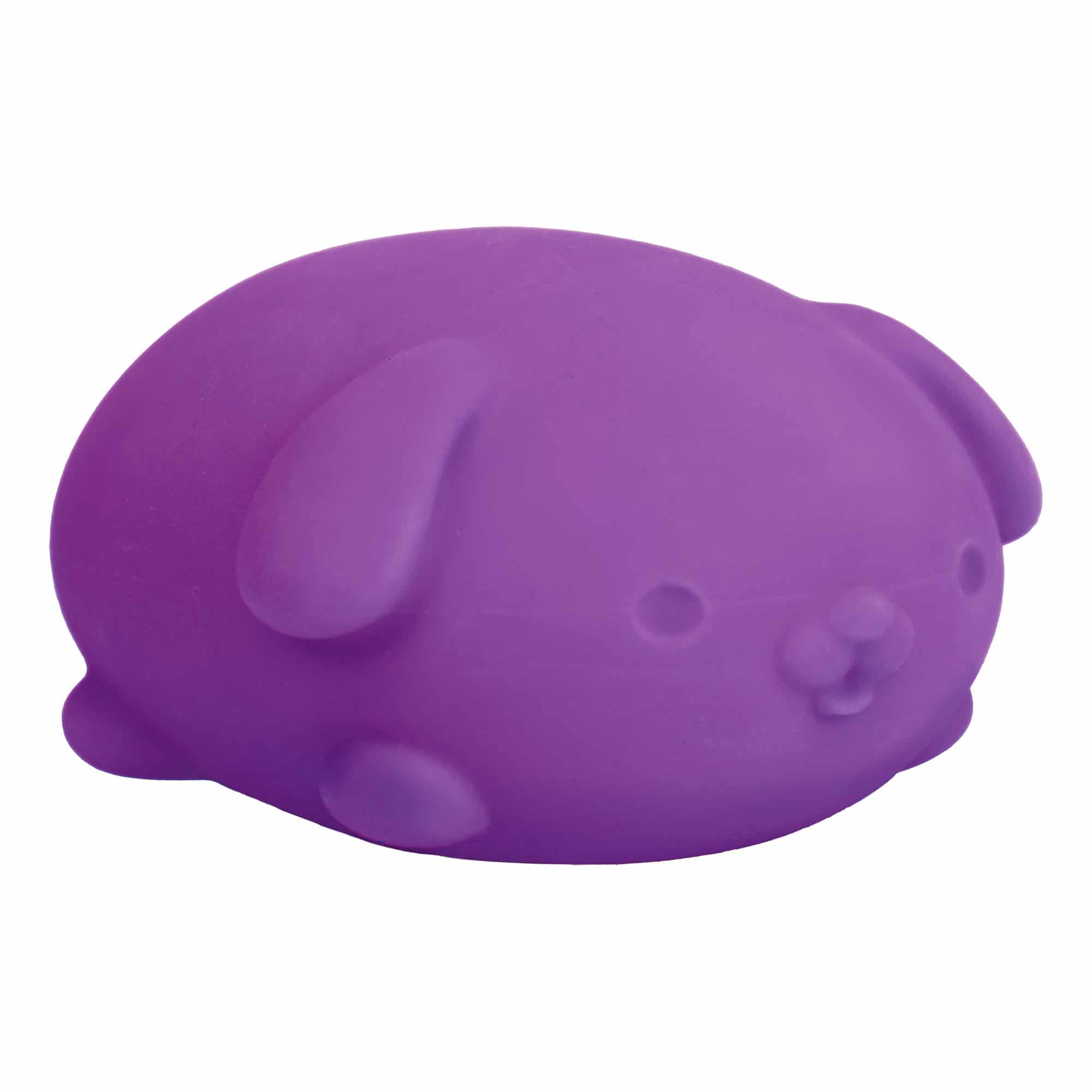 Purrfectly Squishy NeeDoh Funky Pup | Collection Canyon Shore - Collectible Shaggy Monster Squishable Toy Detail