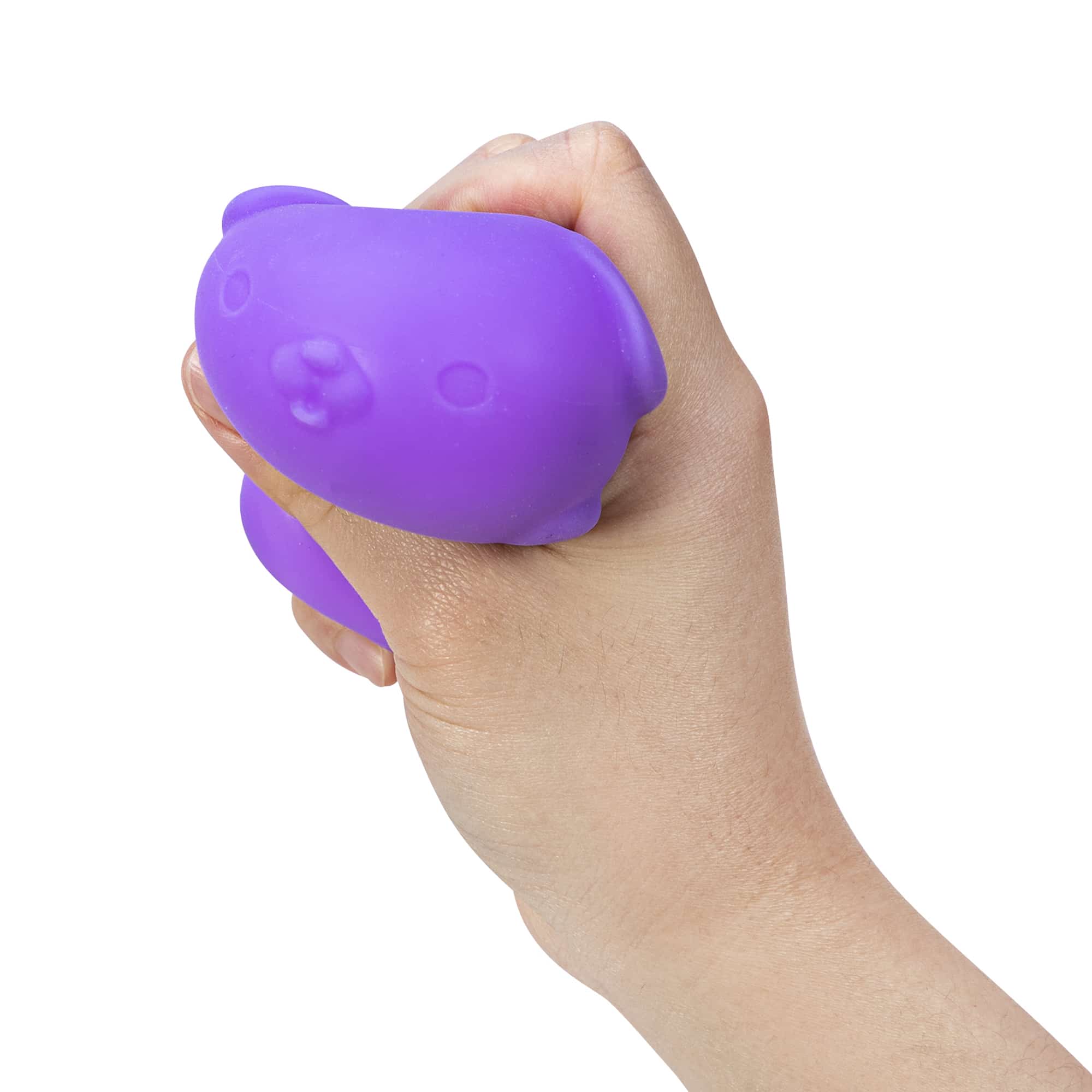 Purrfectly Squishy NeeDoh Funky Pup | Collection Canyon Shore - Collectible Shaggy Monster Squishable Toy Detail