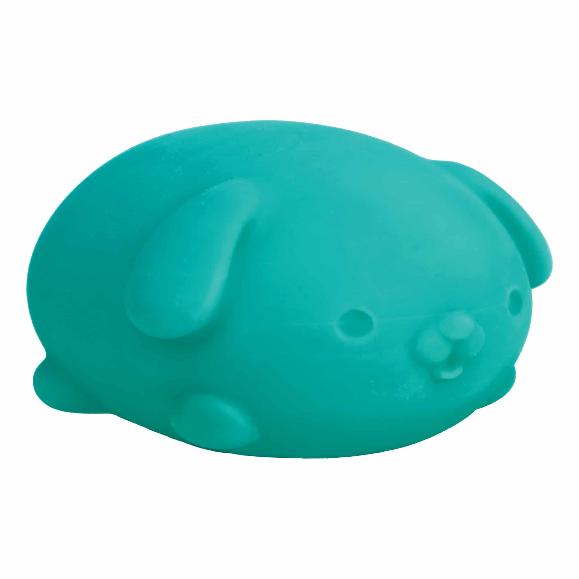 Purrfectly Squishy NeeDoh Funky Pup | Collection Canyon Shore - Collectible Shaggy Monster Squishable Toy Detail